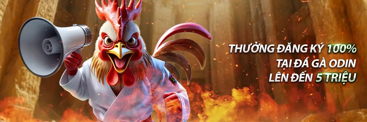 Hình ảnh đại diện cho chính sách bảo mật và bảo vệ dữ liệu tại abcvip đăng nhập